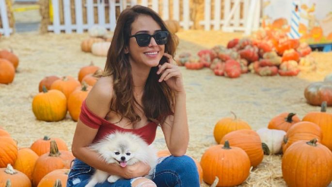 ¡Sustos que dan gusto! 'La Chica del Clima' se viste de bruja y enamora en las redes