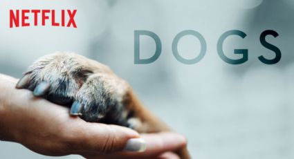 'Dogs', la serie de Netflix que todo amante de los perros debe ver; tendrá segunda temporada