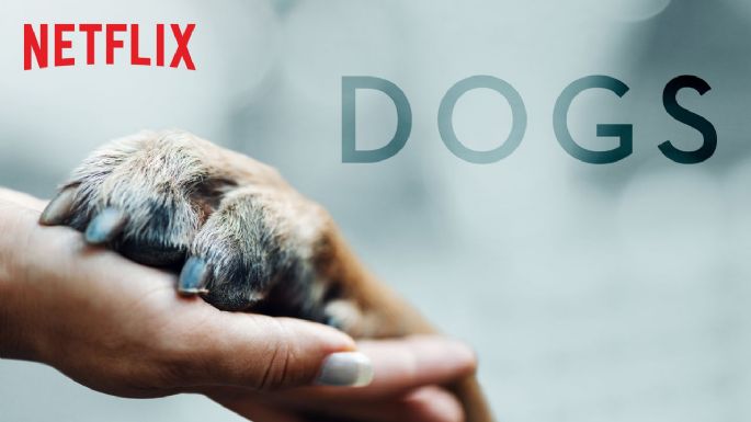 'Dogs', la serie de Netflix que todo amante de los perros debe ver; tendrá segunda temporada