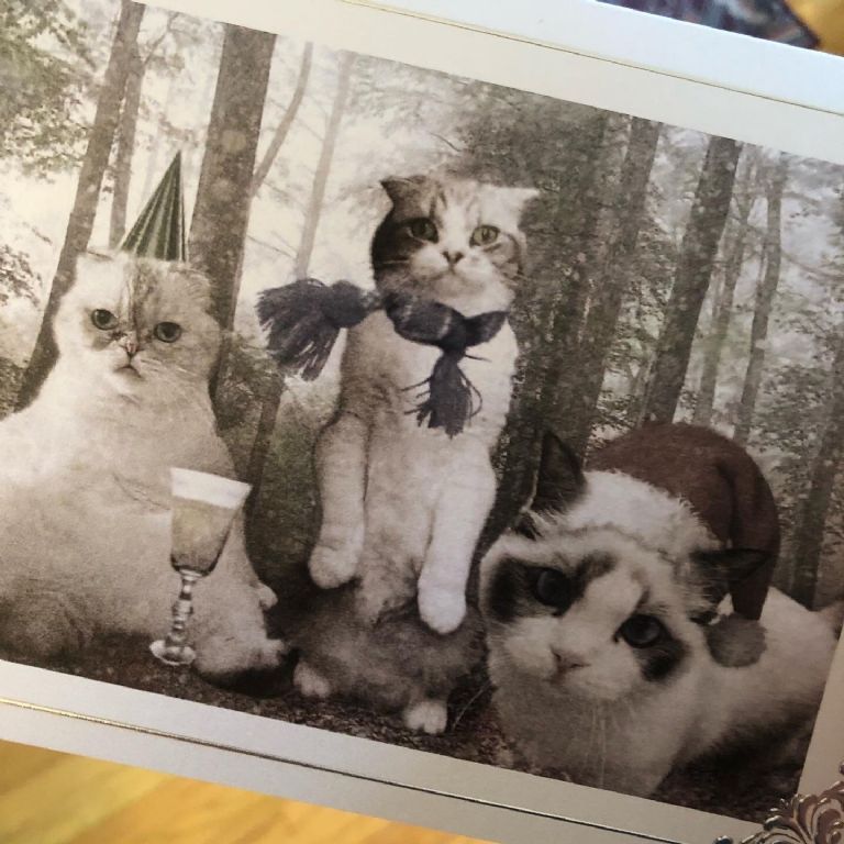 Twitter @kylemeredith