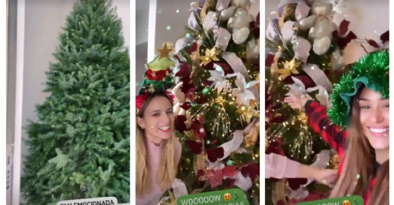 Así quedó el árbol de 'La Chica del Clima'