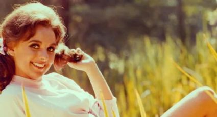 ¡Terribles noticias! Dawn Wells, actriz de 'La Isla de Gilligan', muere a los 82 años por Covid-19