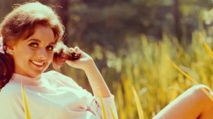 ¡Terribles noticias! Dawn Wells, actriz de 'La Isla de Gilligan', muere a los 82 años por Covid-19