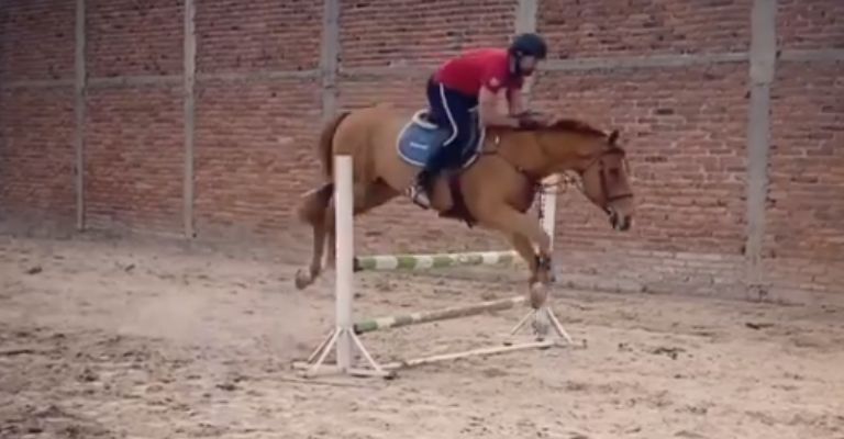 Saltó un obstáculo colocado a un metro