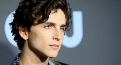 Timothée Chalamet actuaría en esta nueva cinta de terror con el director de 'Call Me By Your Name'