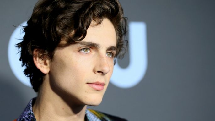 Timothée Chalamet actuaría en esta nueva cinta de terror con el director de 'Call Me By Your Name'