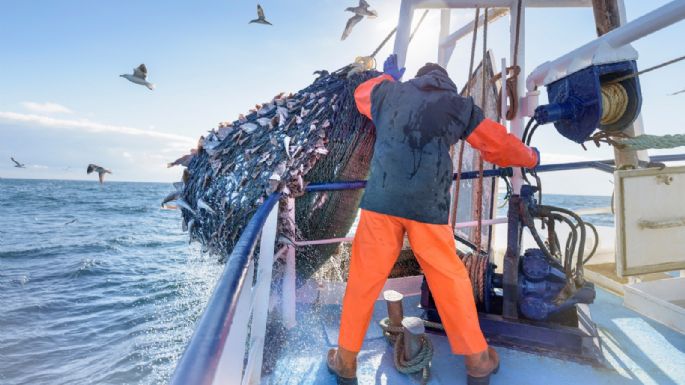 'Seaspiracy', el documental de Netflix que es acusado de engañoso