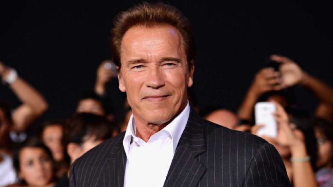 Esto es lo que se sabe de la serie de Netflix que protagonizará Arnold  Schwarzenegger