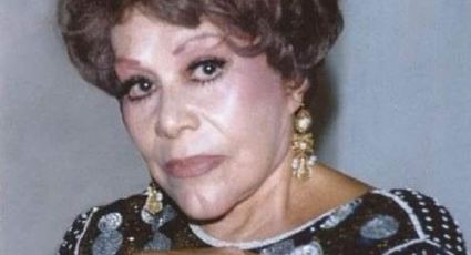 ¡Lamentable! Muere la actriz Olga Rinzo, mamá de Jorge Ortín