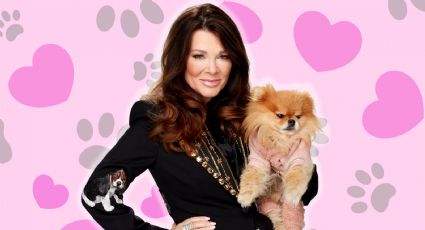 Organización de rescate canino de Lisa Vanderpump es demandada por supuesta estafa
