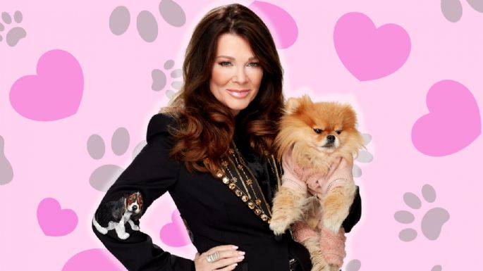Organización de rescate canino de Lisa Vanderpump es demandada por supuesta estafa