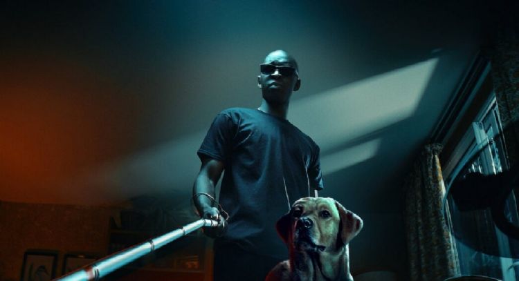 El rey de las sombras, la nueva película de intriga y crimen disponible en Netflix