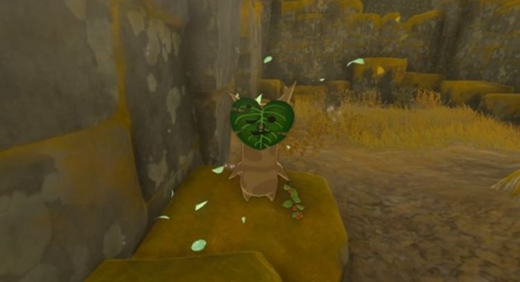 Los jugadores de 'The Legend of Zelda: Tears of the Kingdom' enloquecen con los 'Koroks' por esto