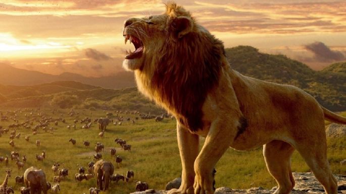 Disney quiere expandirla la película de 'El Rey León' en una franquicia similar