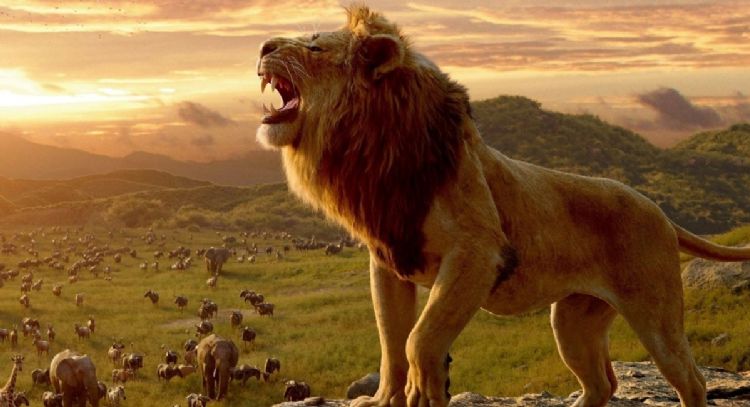 Disney quiere expandirla la película de 'El Rey León' en una franquicia similar a 'Star Wars'
